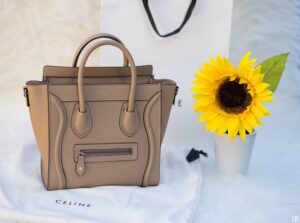 CELINE NANO LUGGAGE BAG REVIEW, Features, Price