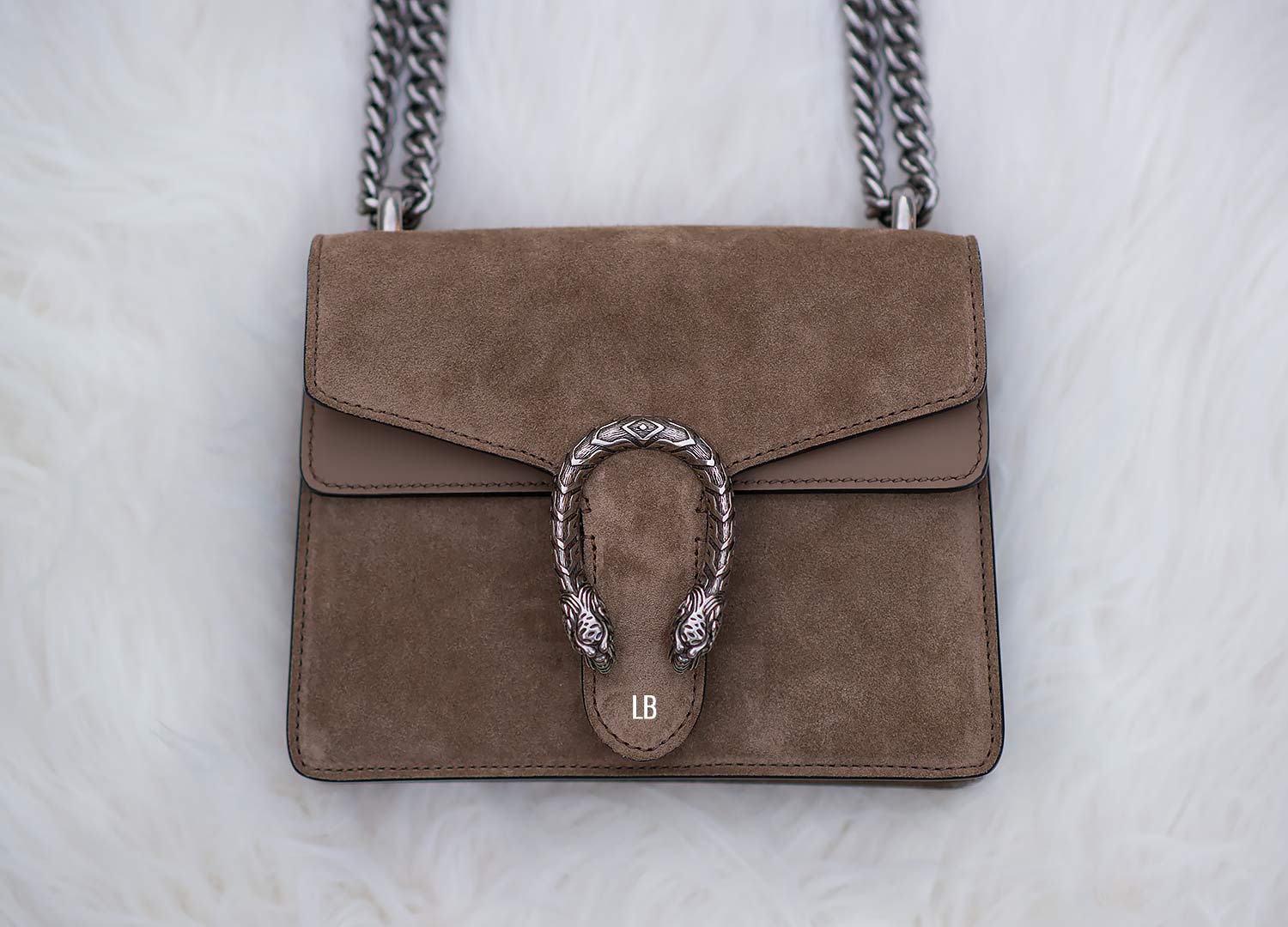 GUCCI Dionysus Mini Chain Bag in Taupe - More Than You Can Imagine