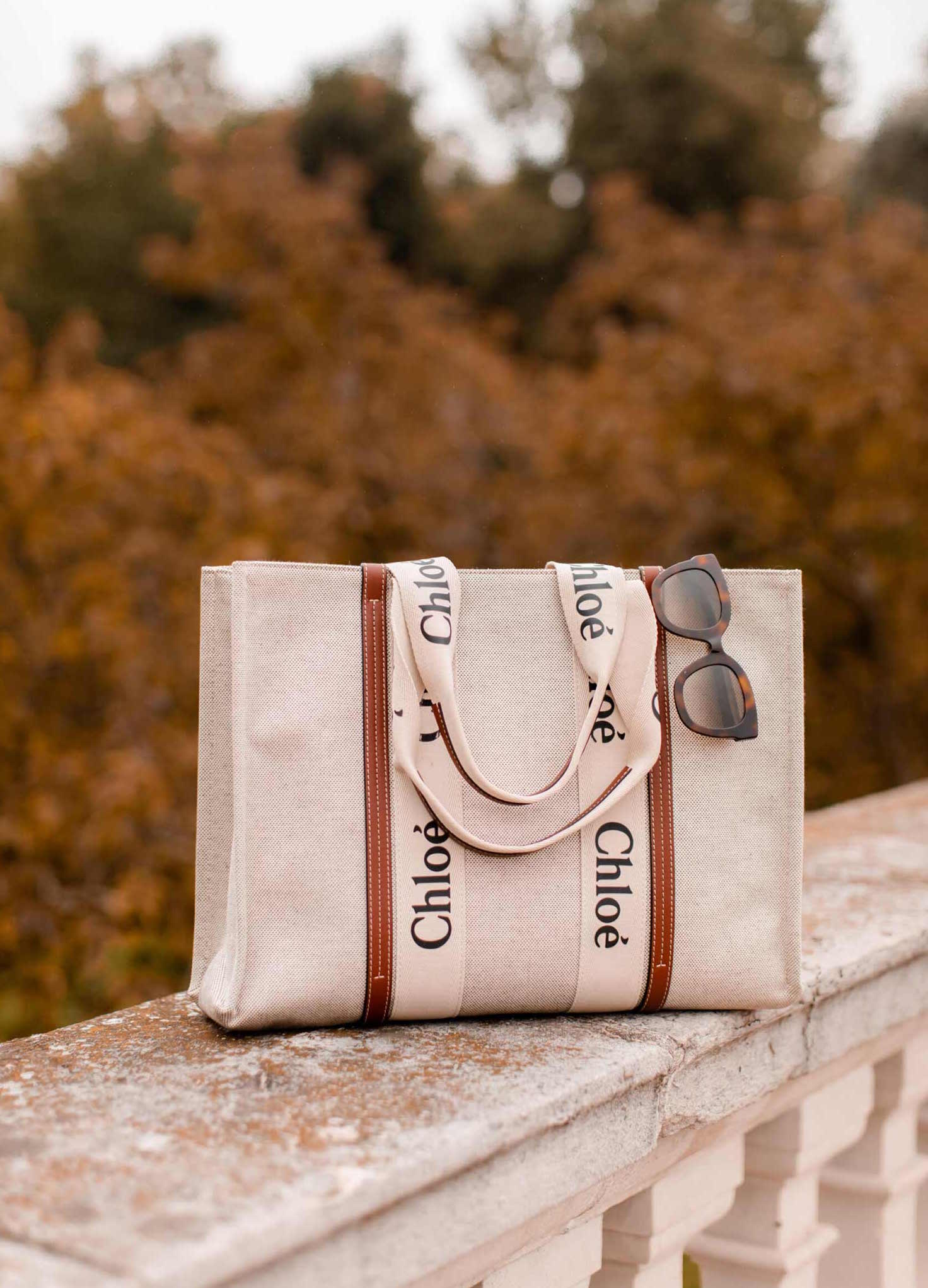 The Perfect Travel Tote – I'm In Love With The Chloe Woody Tote Bag - FORD  LA FEMME
